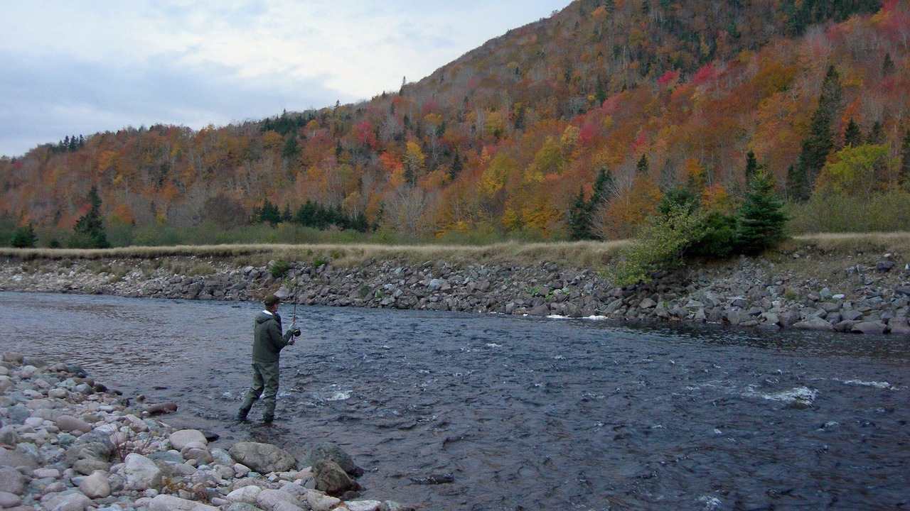Photo of Others in Margaree Forks