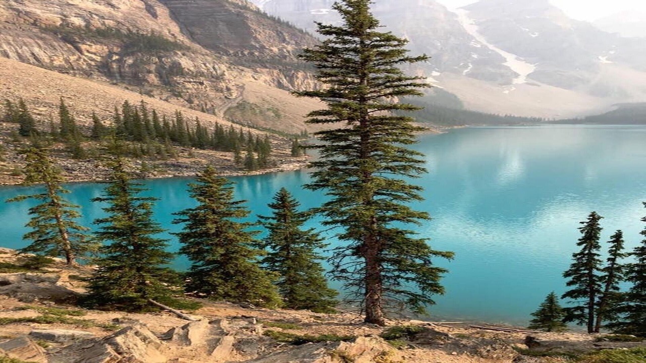 Photo of Outdoor in Canmore