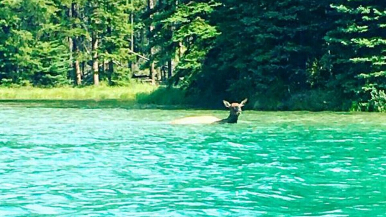Photo of Outdoor in Canmore