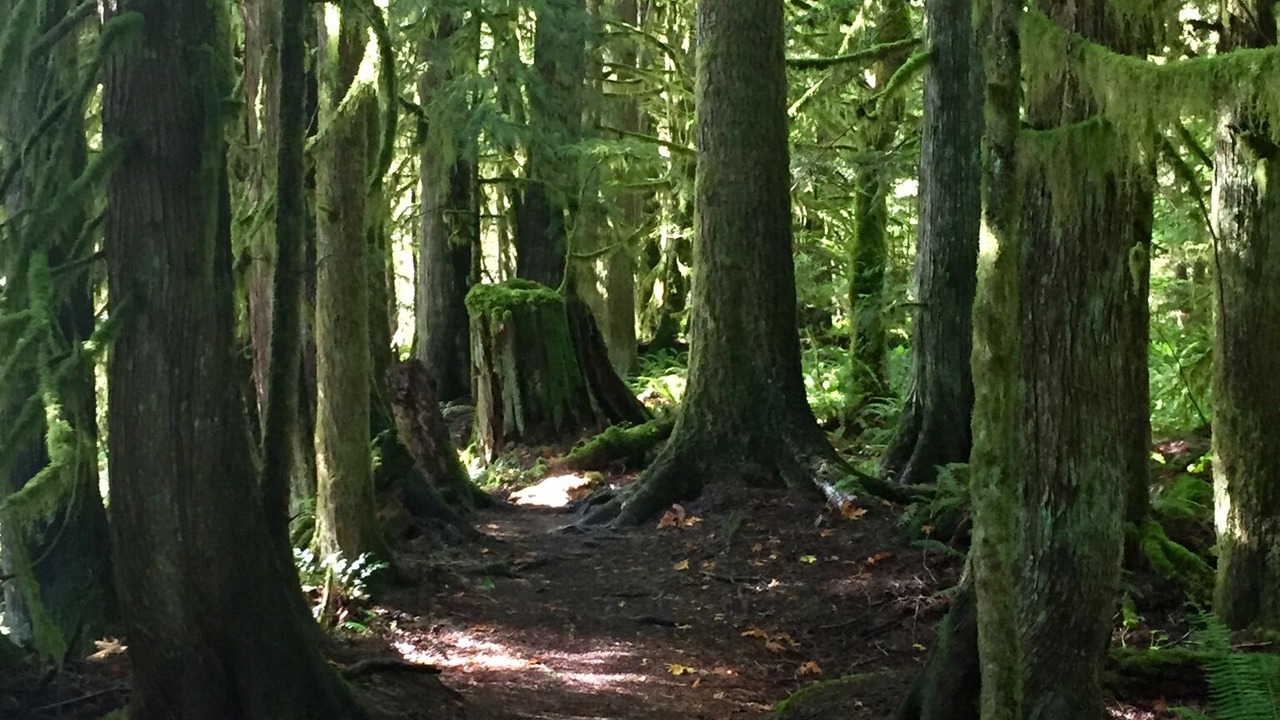 Photo of Outdoor in Beachcomber