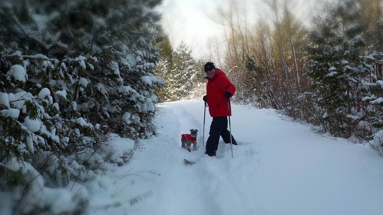 Photo of Outdoor in Collingwood