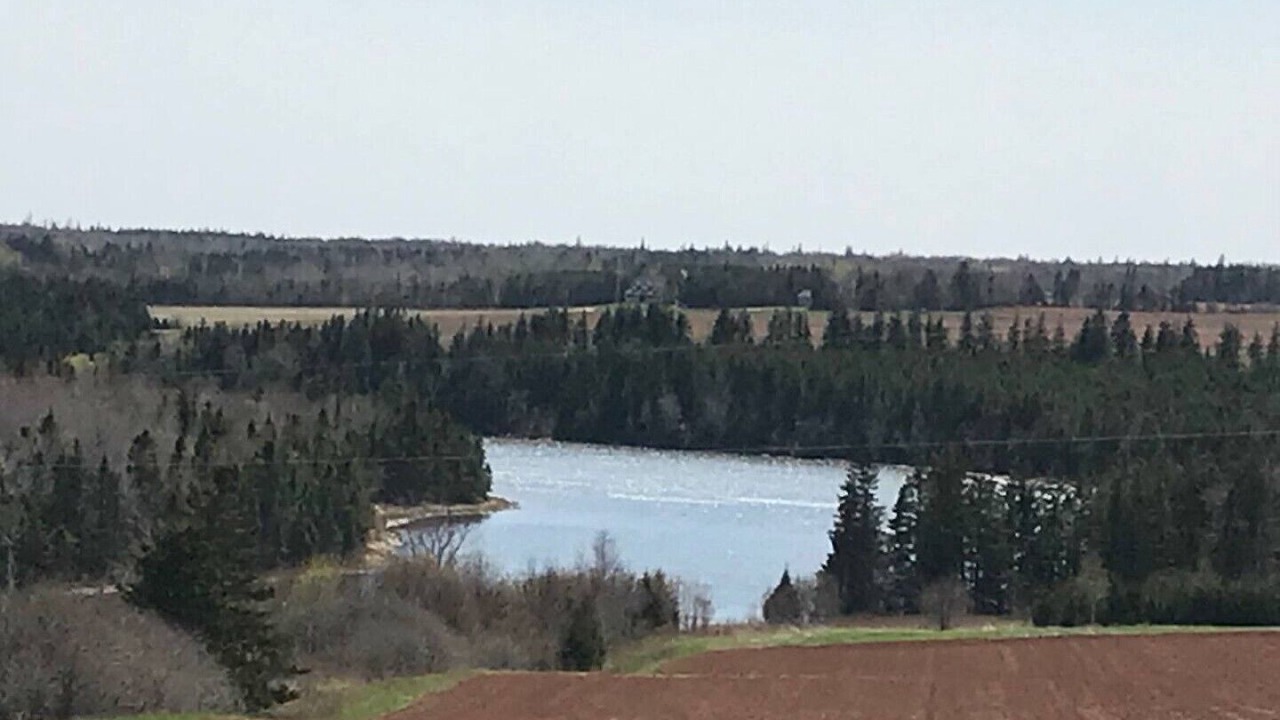 Photo of Others in Souris