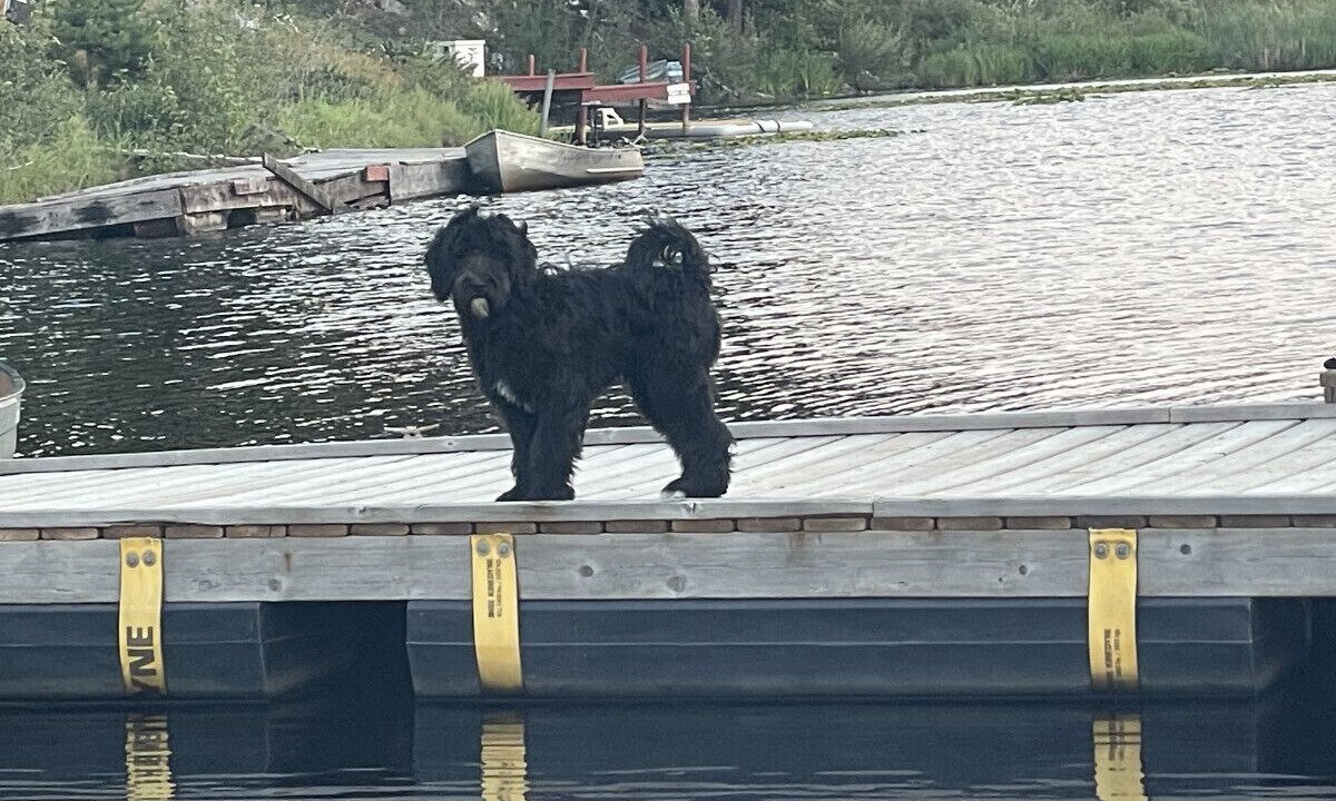 Photo of Others in Idabel Lake