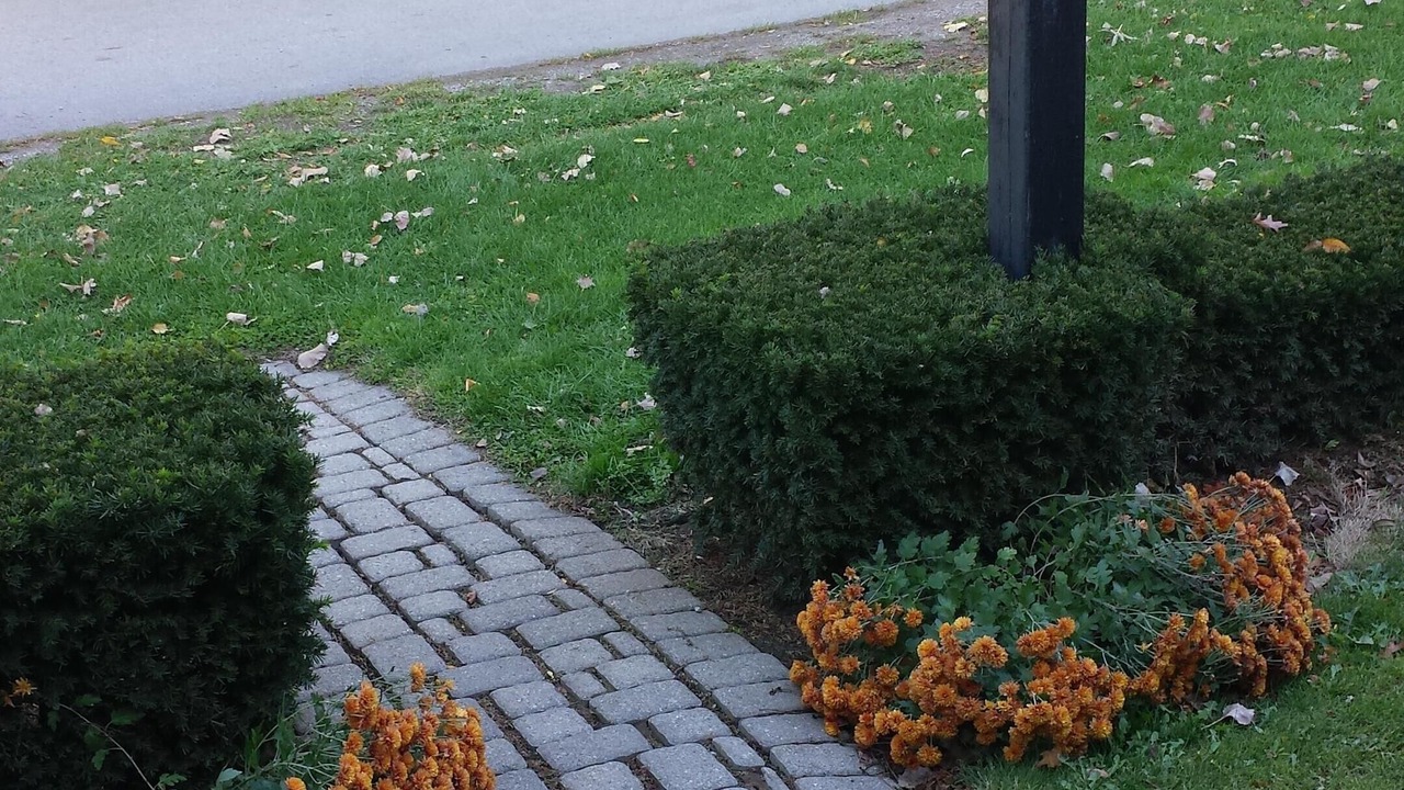 Photo of Outdoor in Historic Old Town
