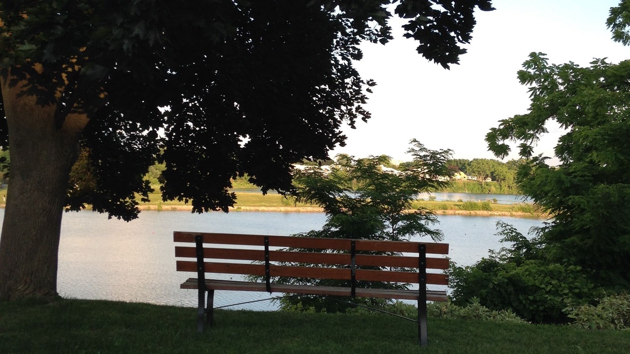 Photo of Others in Port Dalhousie