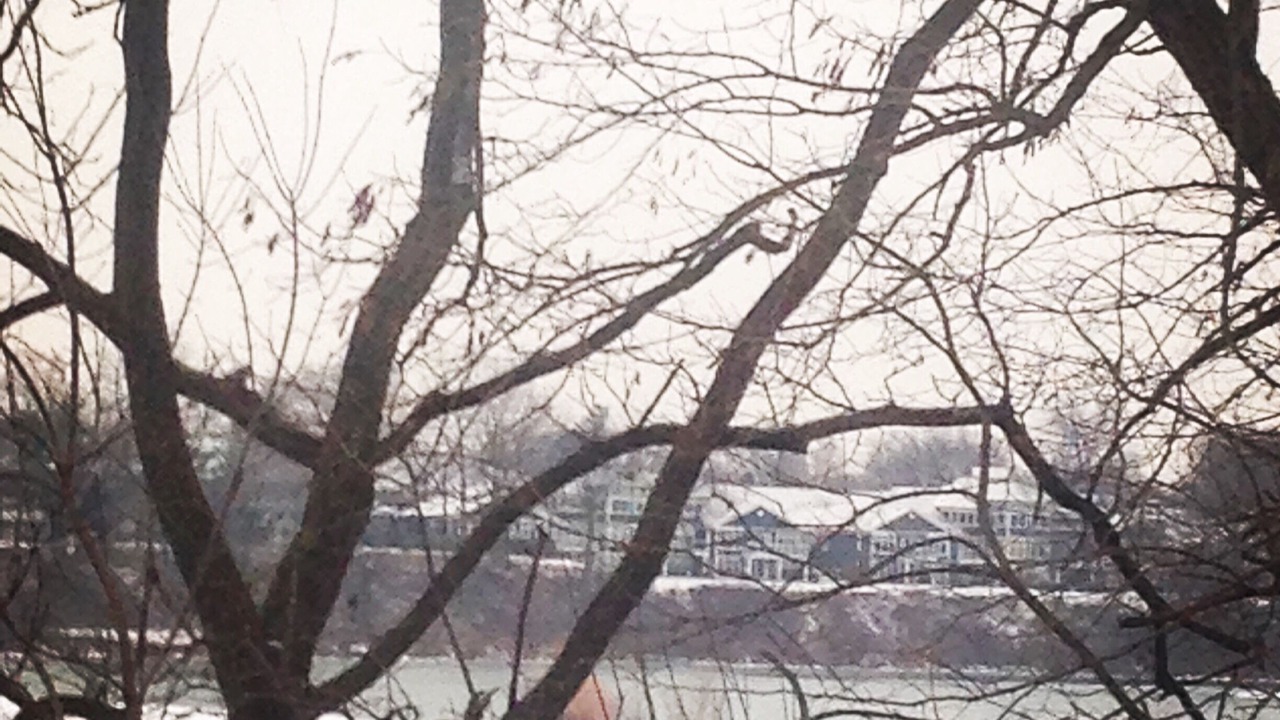 Photo of Others in Port Dalhousie
