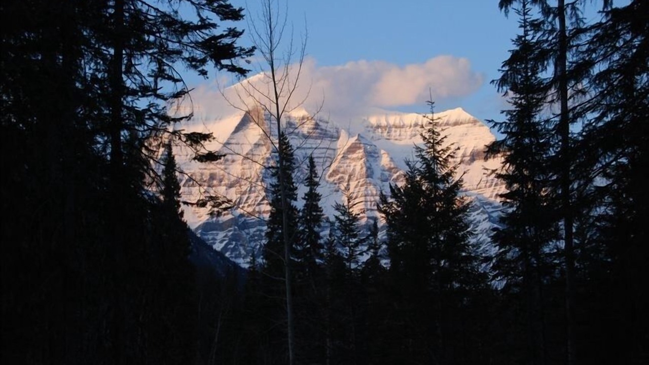 Photo of Others in Mount Robson
