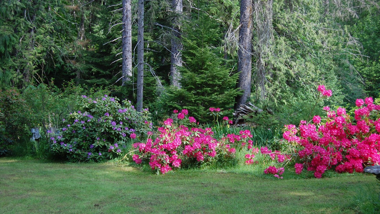 Photo of Others in Regional District of Nanaimo