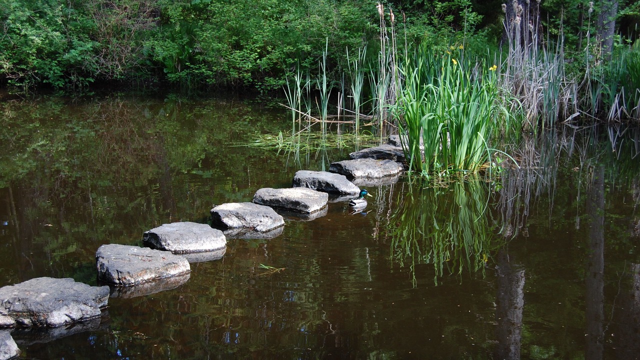 Photo of Others in Regional District of Nanaimo