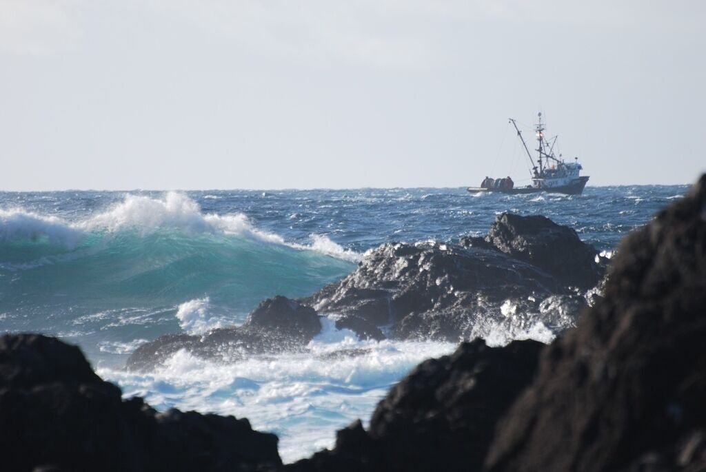 Photo of Others in Ucluelet