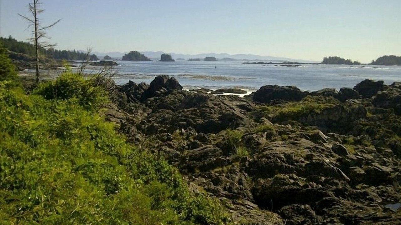 Photo of Others in Ucluelet