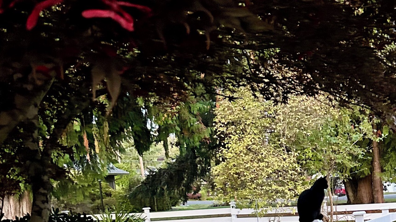 Photo of Outdoor in Regional District of Nanaimo