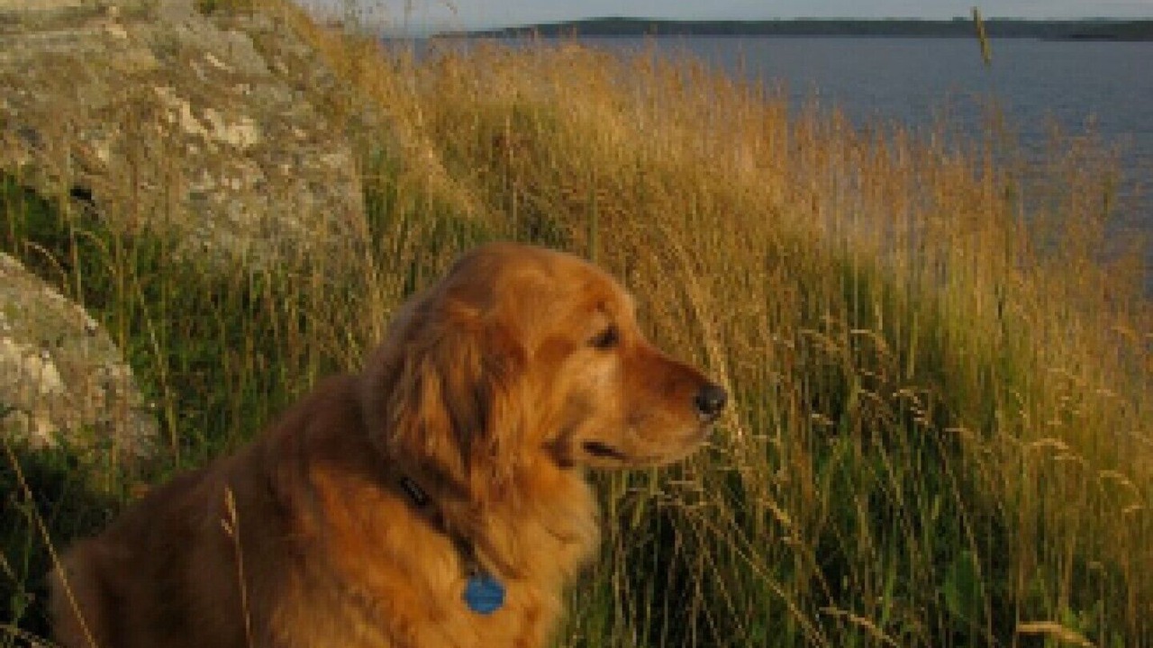 Photo of Others in Terra Nova
