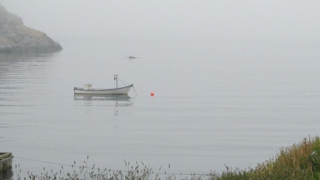 Photo of Others in Terra Nova
