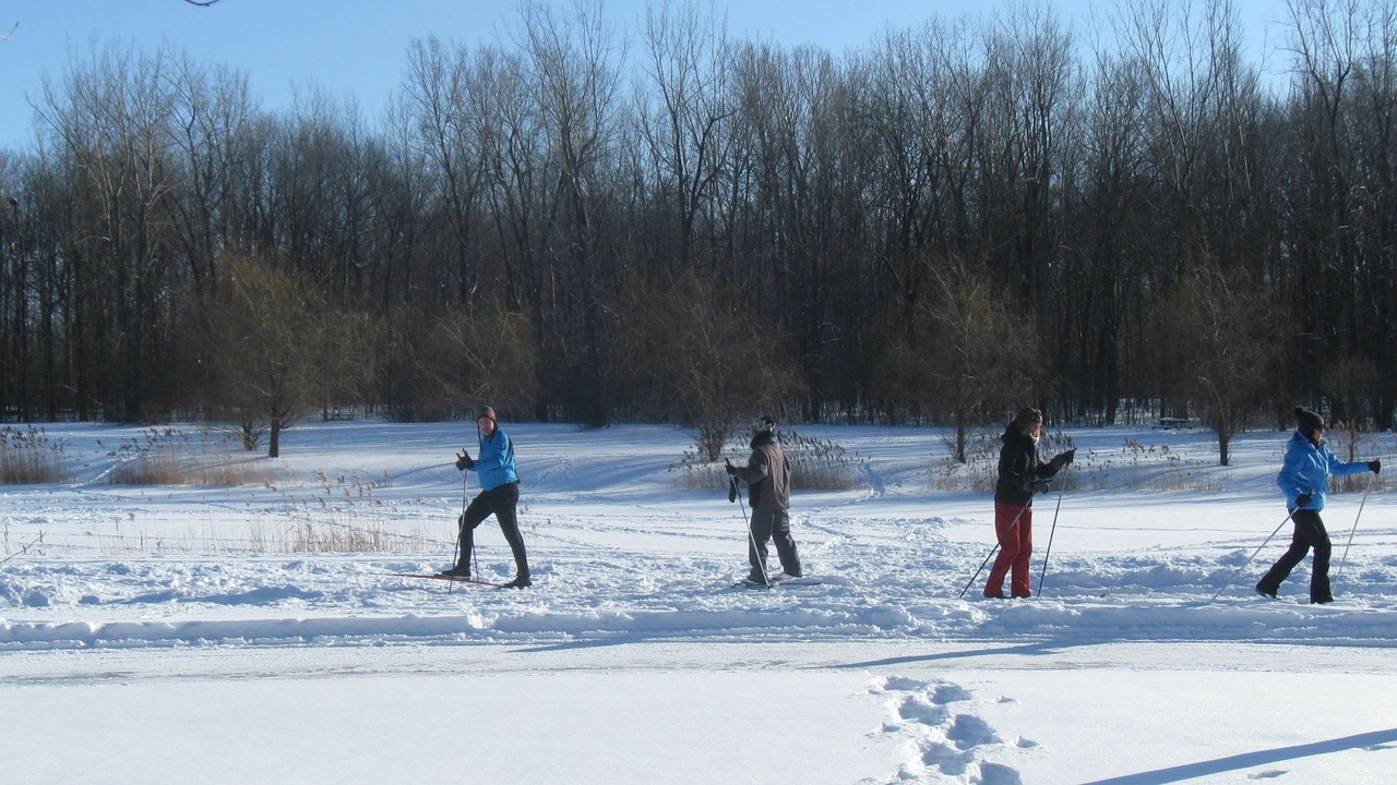 Photo of Others in Cote-Saint-Paul