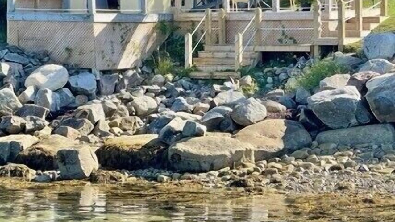 Photo of Others in Bayside