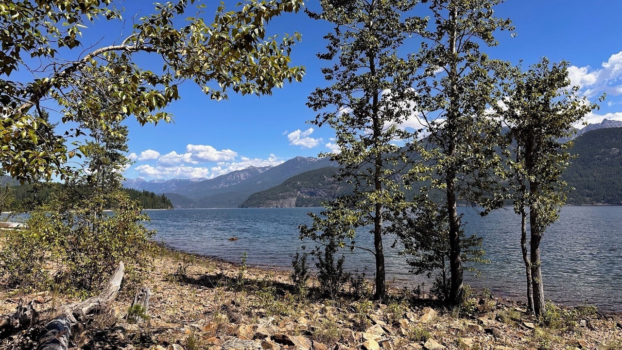 Photo of Others in Kaslo