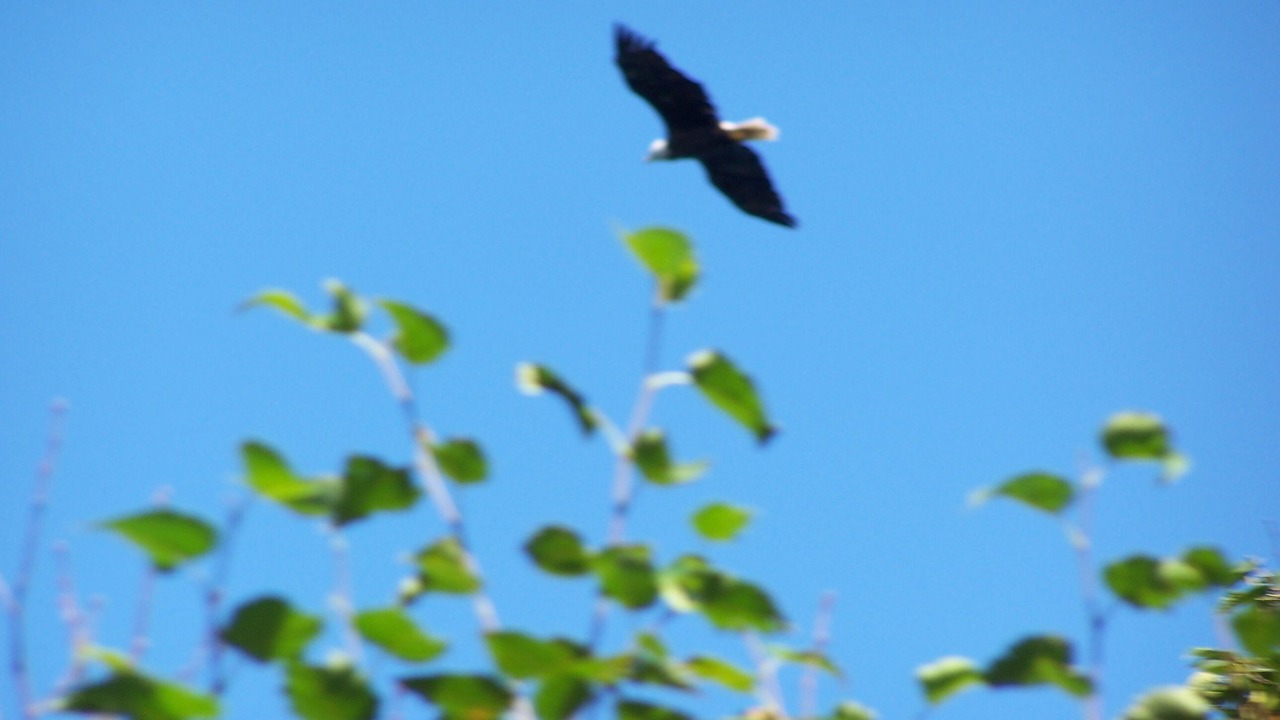 Photo of Others in Campobello Island