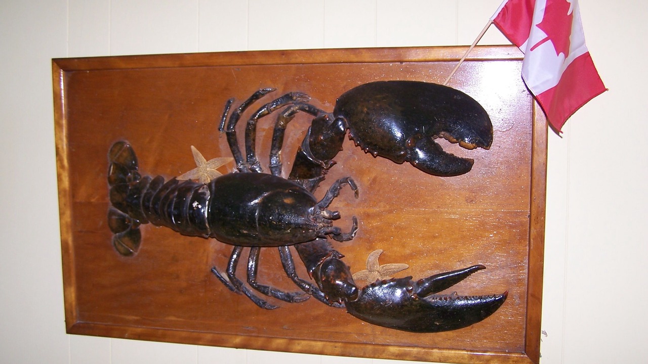 Photo of Others in Campobello Island