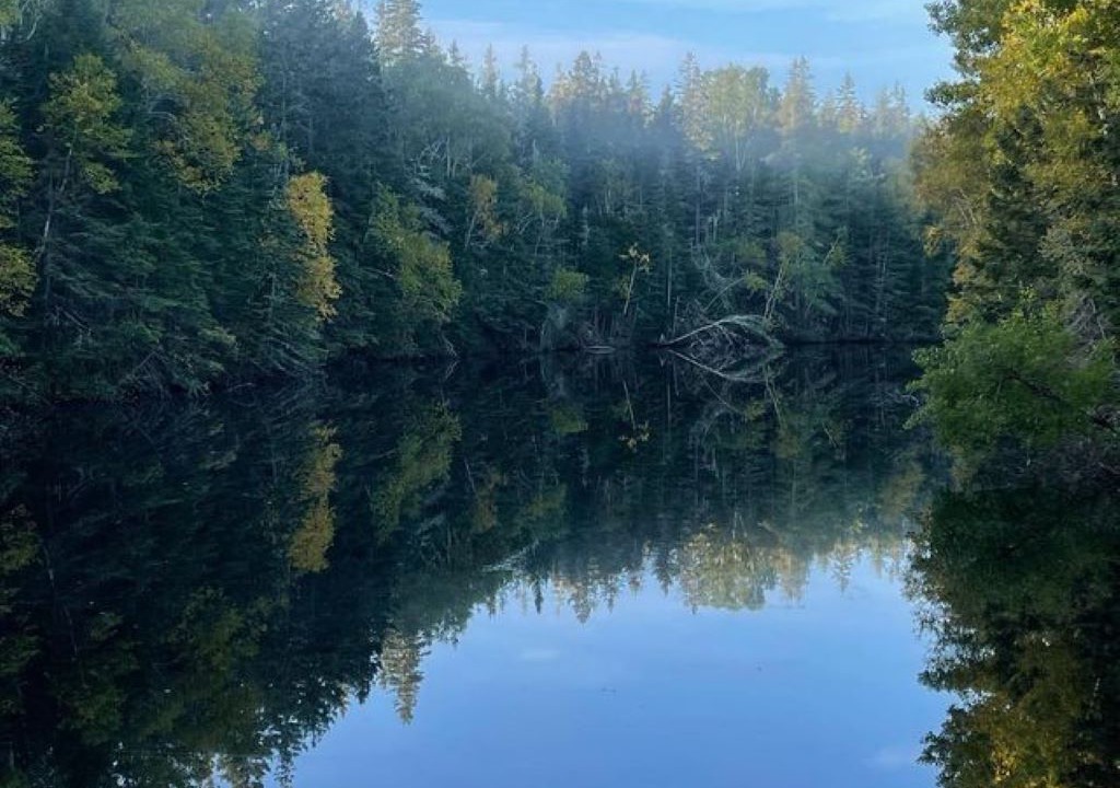 Photo of Outdoor in Murray Harbour