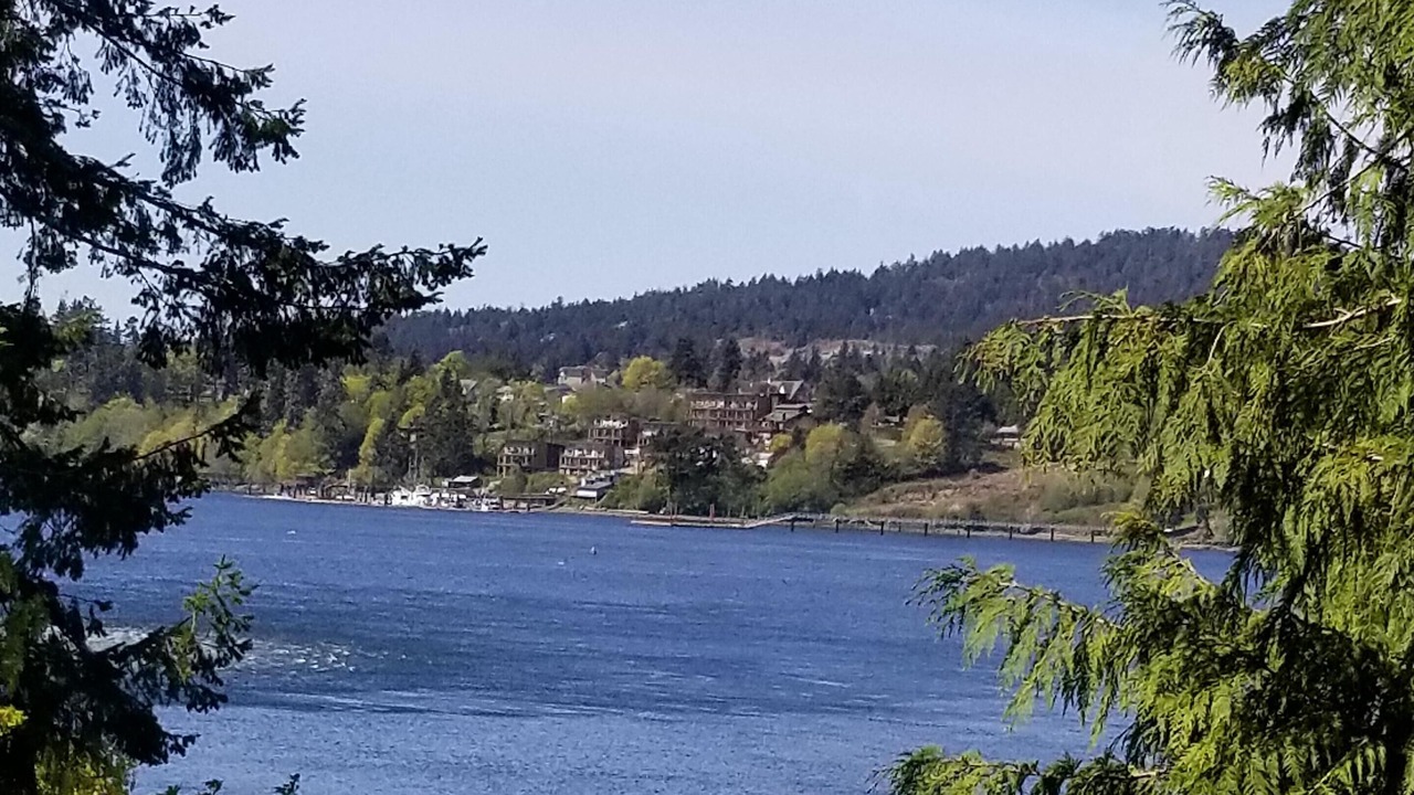 Photo of Others in East Sooke