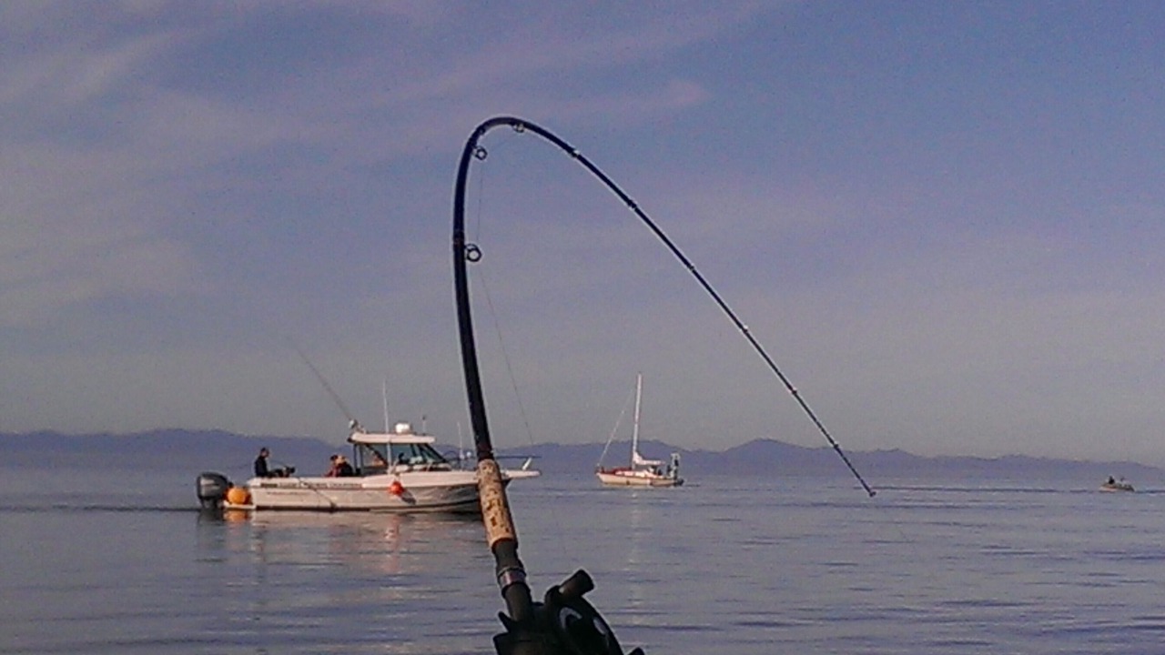 Photo of Others in East Sooke