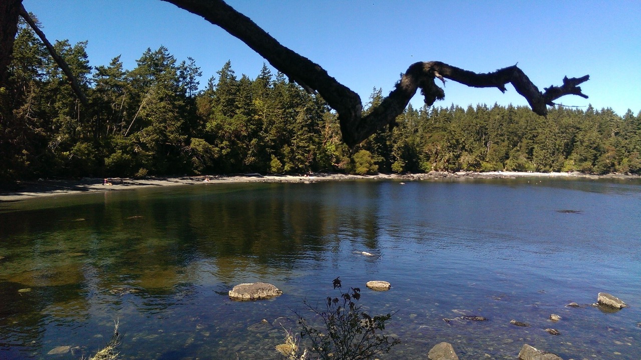 Photo of Others in East Sooke