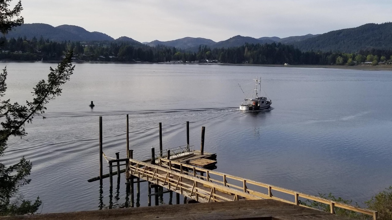 Photo of Others in East Sooke