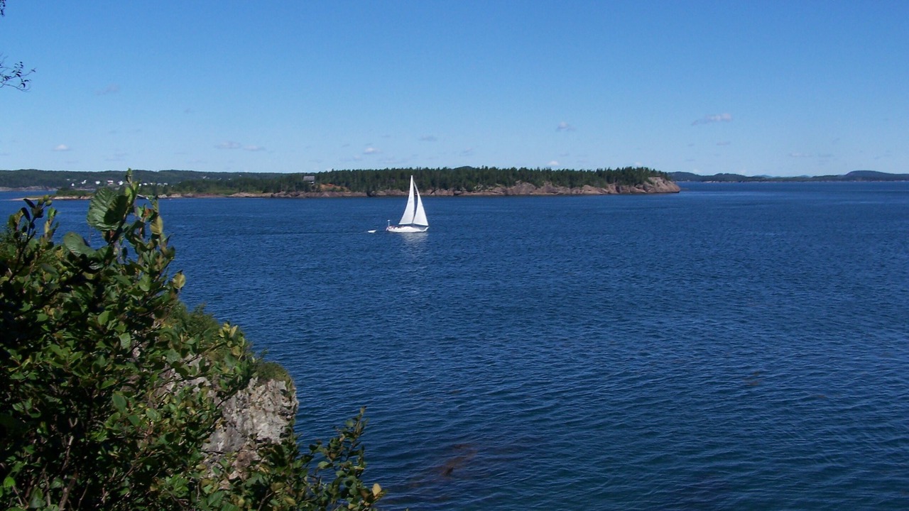 Photo of Others in Campobello Island