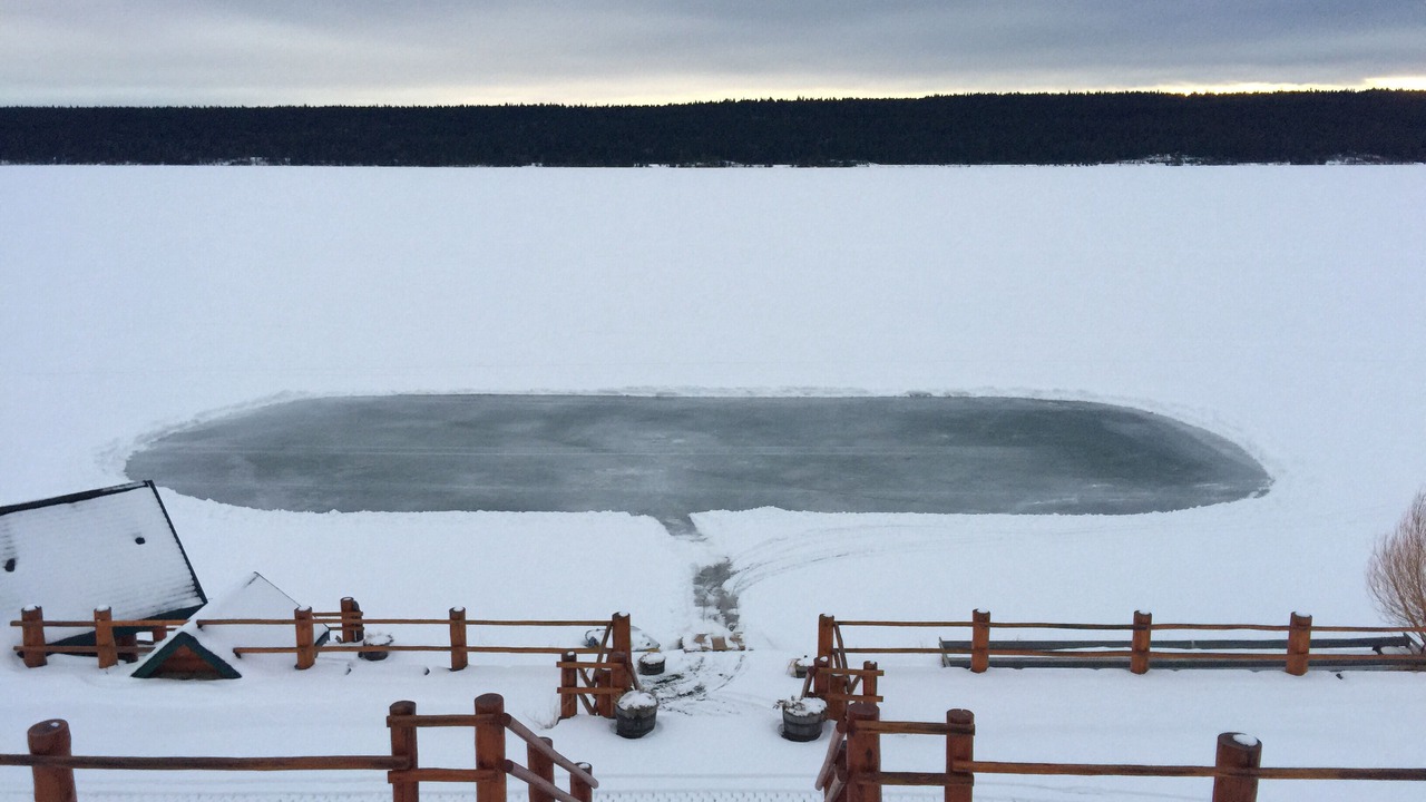 Photo of Others in Lac La Hache