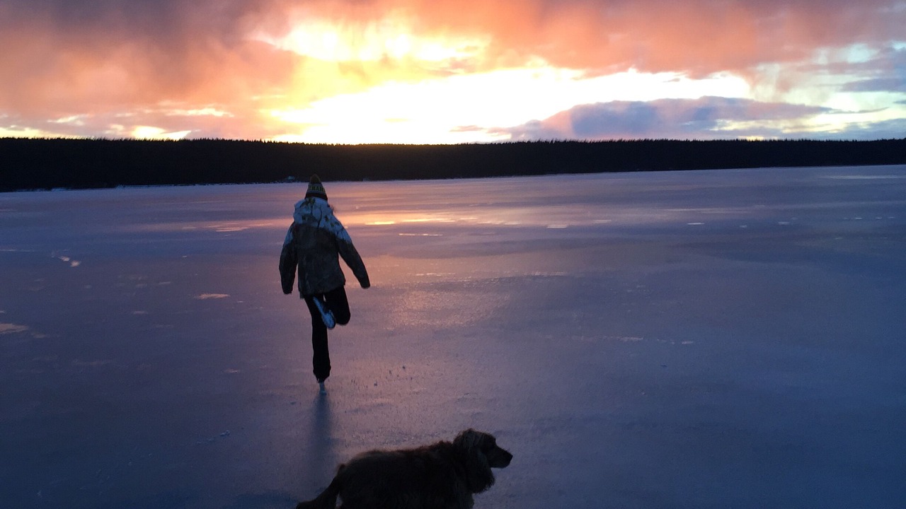 Photo of Others in Lac La Hache