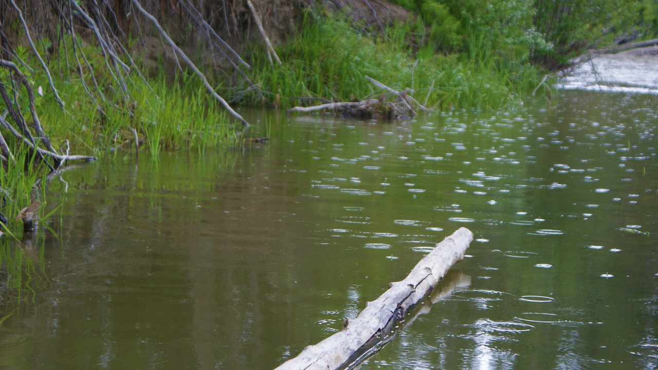 Photo of Others in Sundre