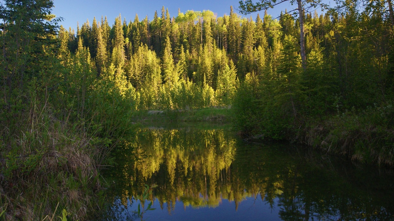 Photo of Others in Sundre