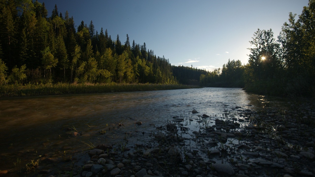 Photo of Others in Sundre