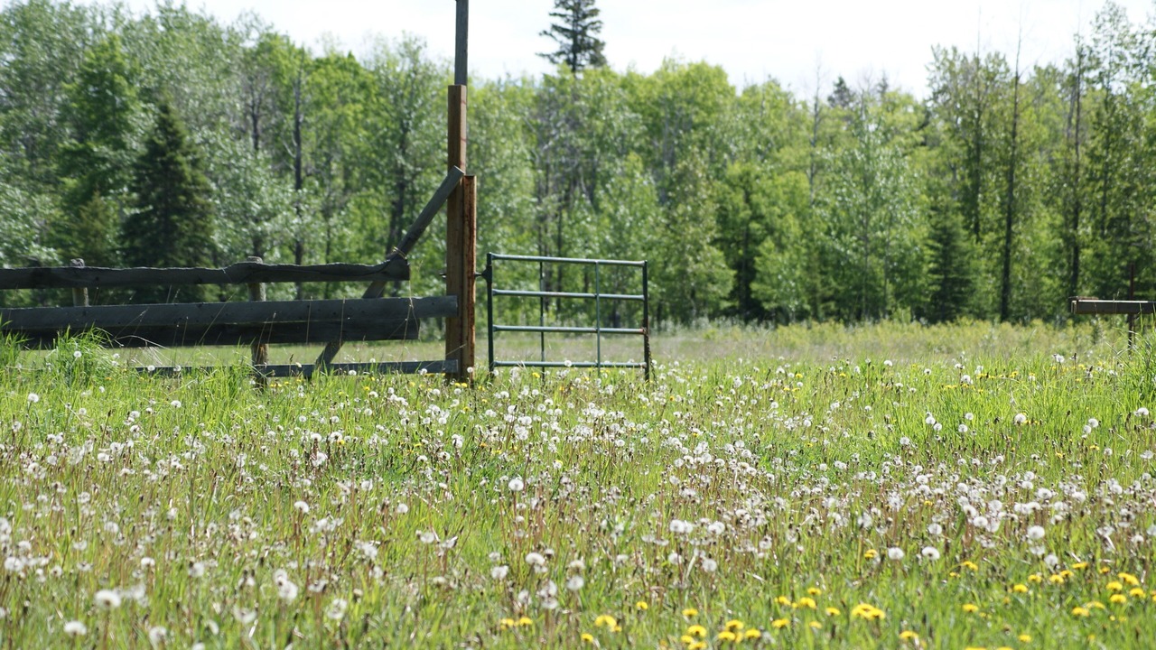 Photo of Others in Sundre
