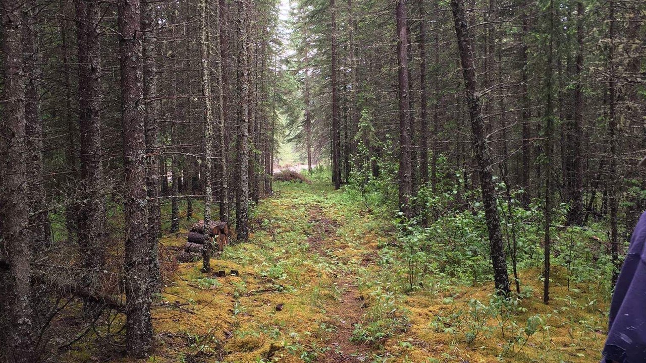 Photo of Others in Sundre