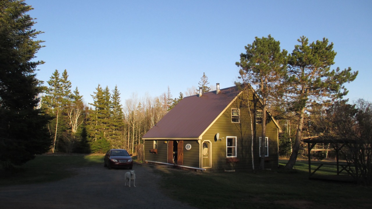 Photo of Others in Wood Islands