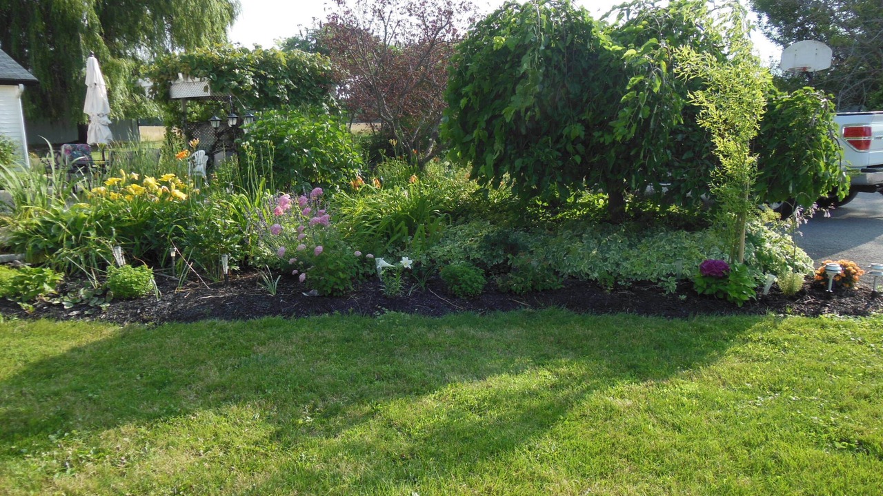 Photo of Outdoor in Lincoln