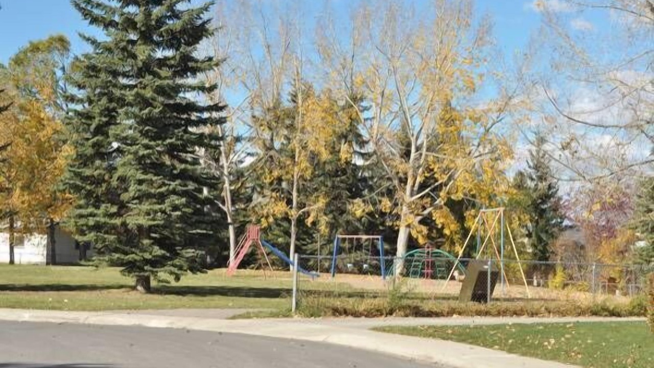 Photo of Others in Cedarbrae