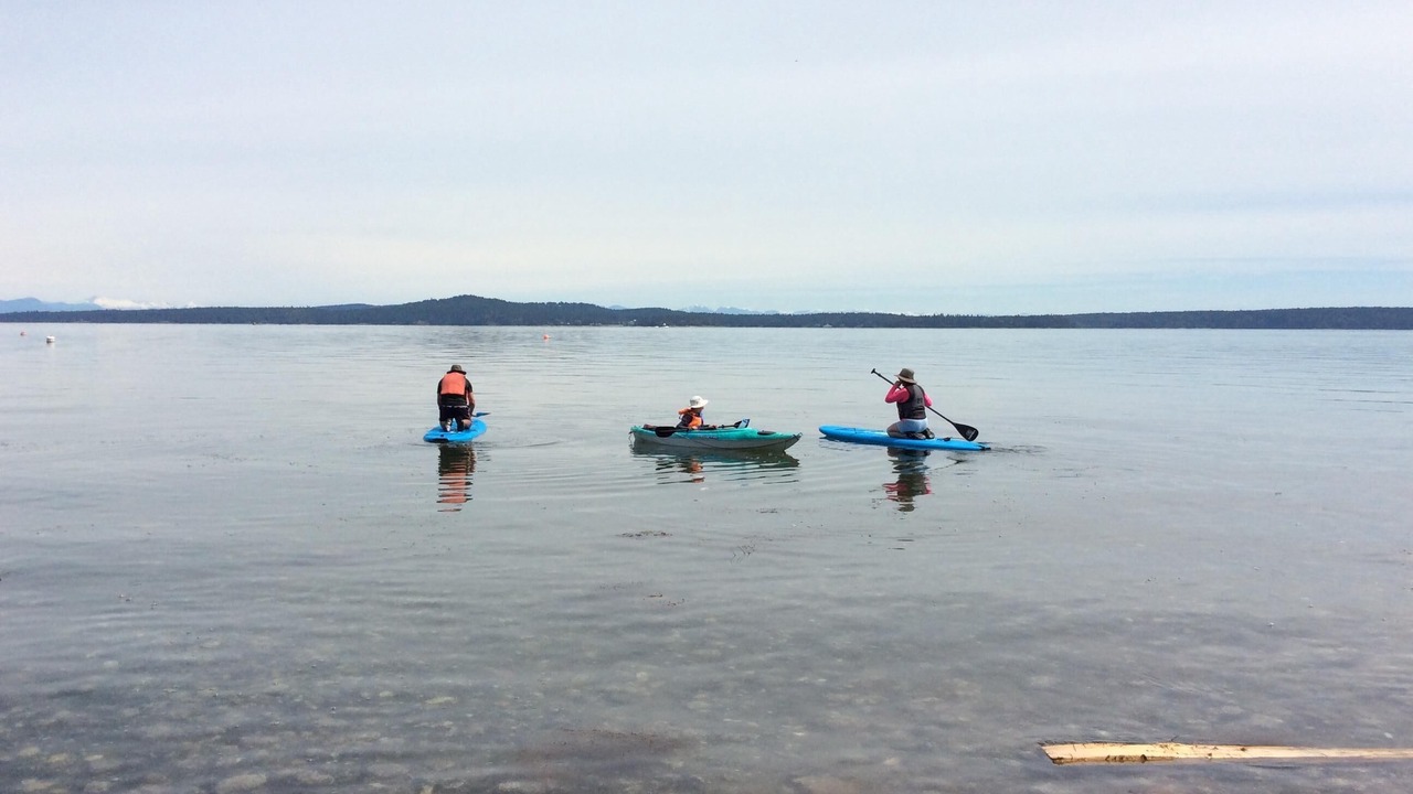 Photo of Others in Chemainus
