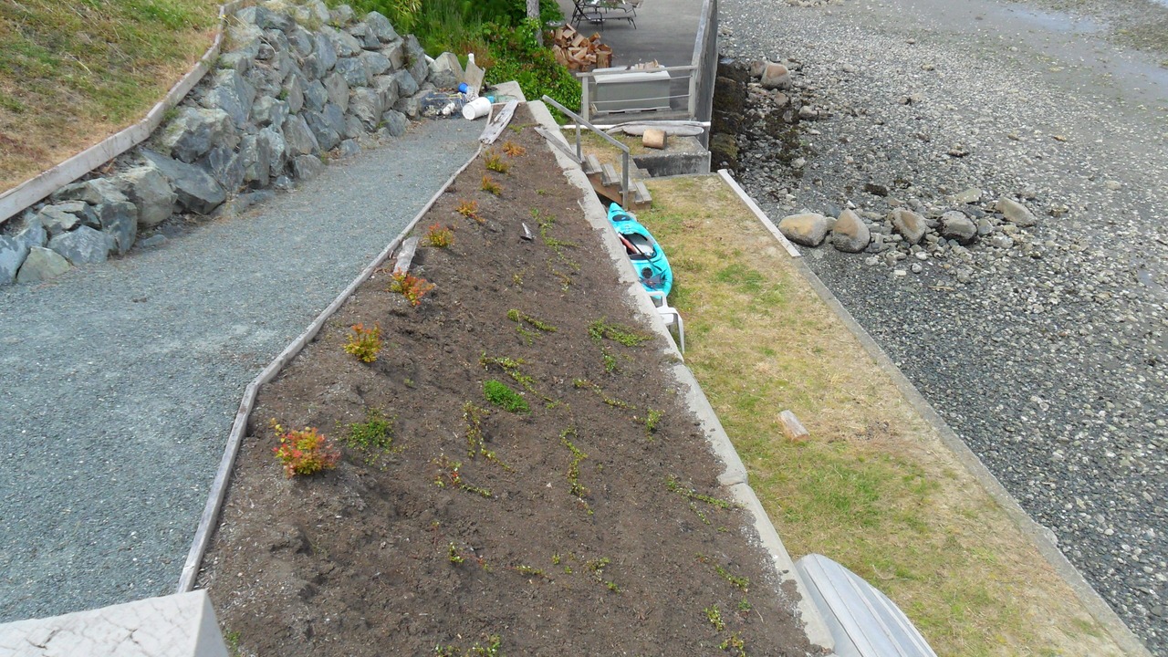 Photo of Others in Chemainus
