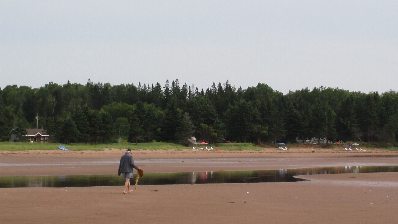 Photo of Others in Wood Islands