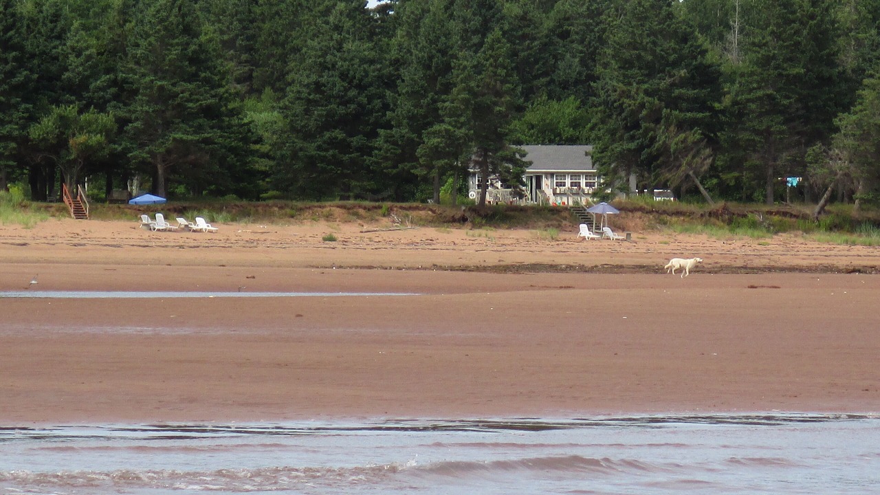 Photo of Others in Wood Islands