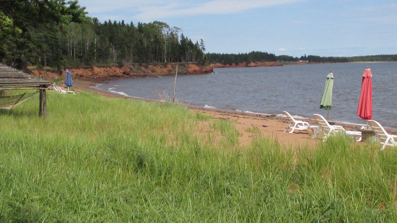 Photo of Others in Wood Islands