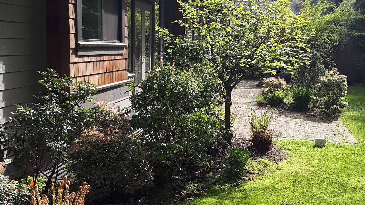 Photo of Others in North Vancouver