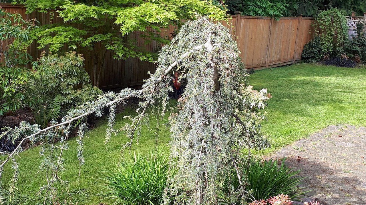 Photo of Others in North Vancouver