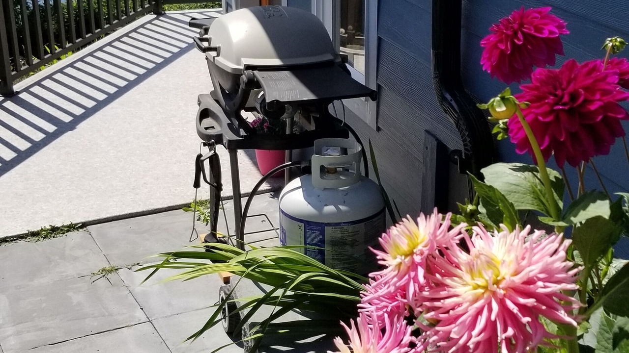 Photo of Outdoor in Sooke
