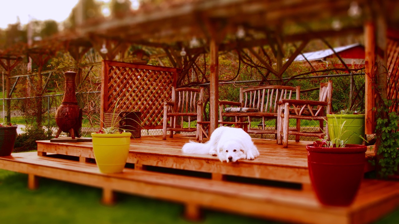 Photo of Outdoor in North Oyster