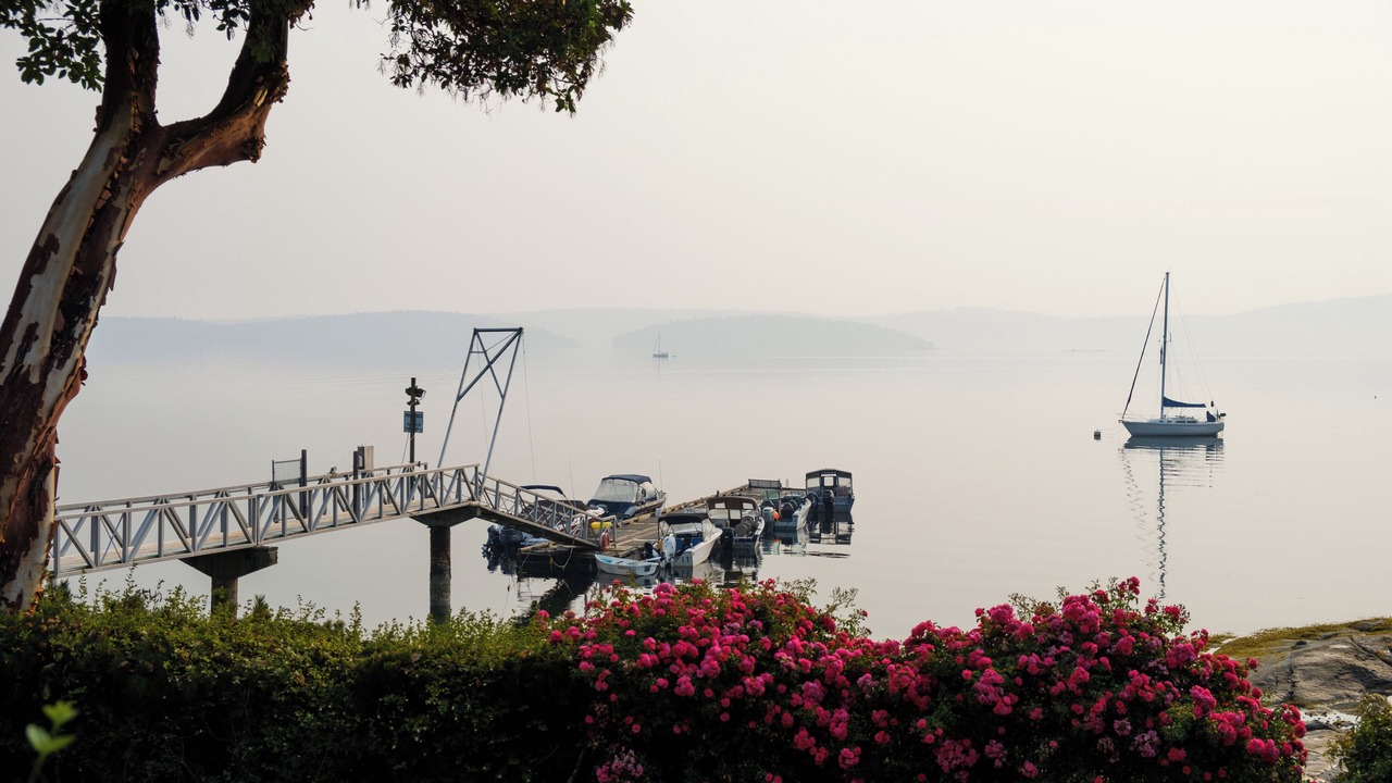 Photo of Outdoor in North Oyster