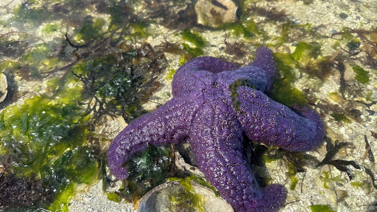 Photo of Others in North Oyster
